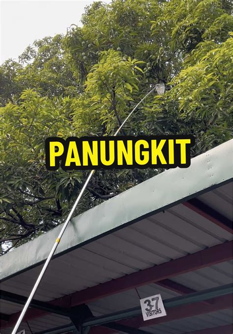 panungkit ng mangga in english|PANUNGKIT: Tagalog.